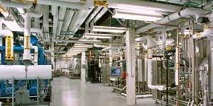 Process and Utilities